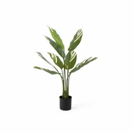 Present Time - Kunstplant Calathea - Groen - 63x63x90cm