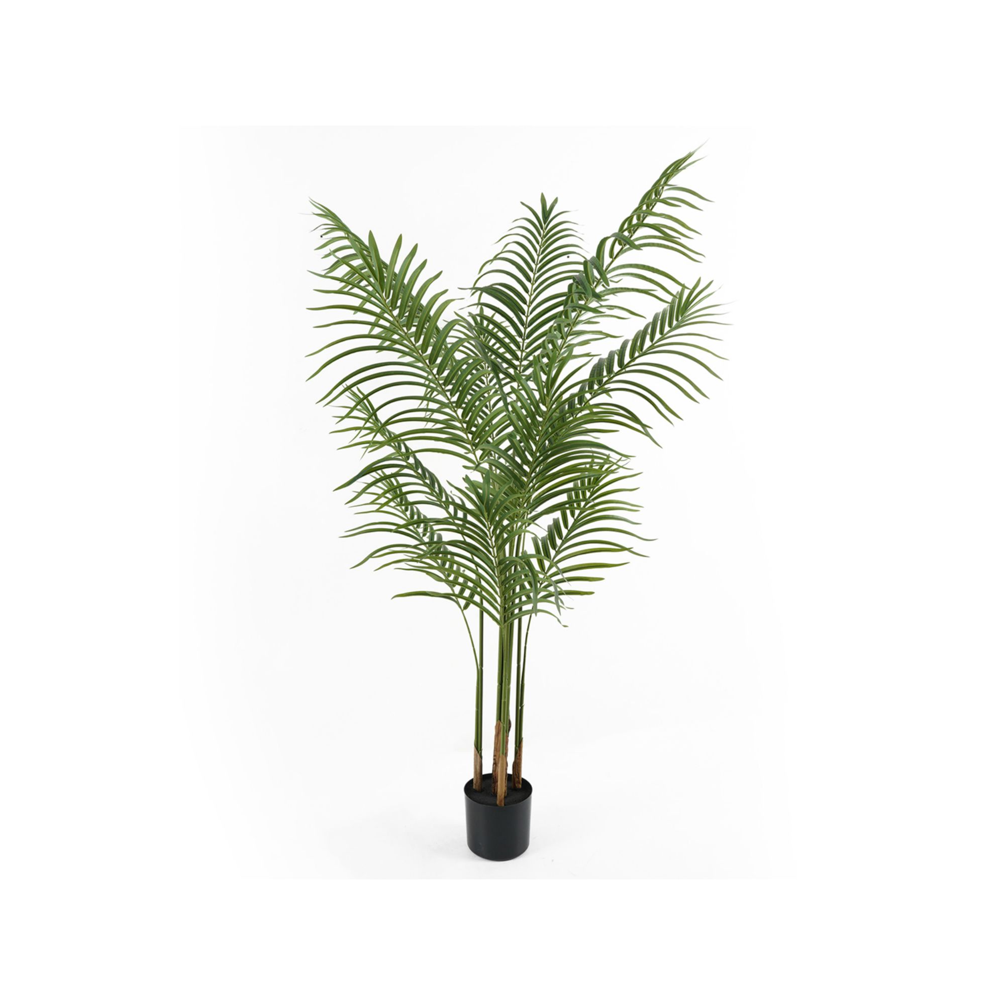 Kunstplant Kwai Tree - Groen - 60x60x140cm