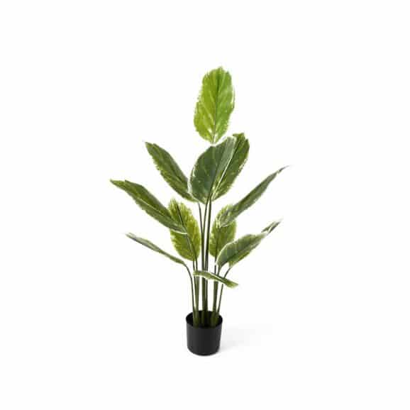 Present Time - Kunstplant Calathea Large - Groen - 70x70x116cm